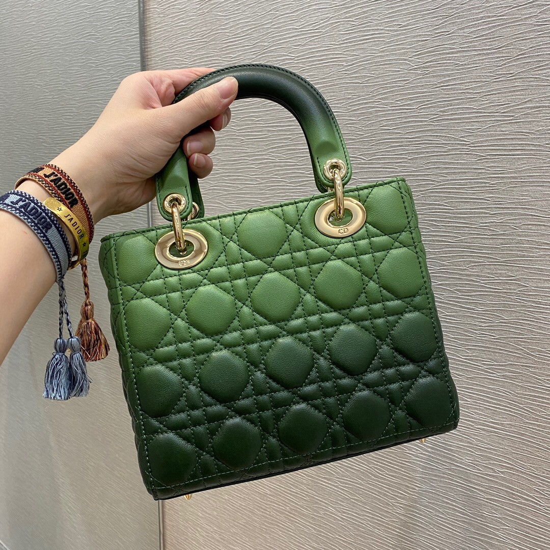 small lady D*or bag 8 x 6.5 x 3 inches