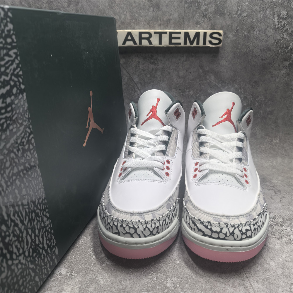 UA Jordan 3 Retro Wings