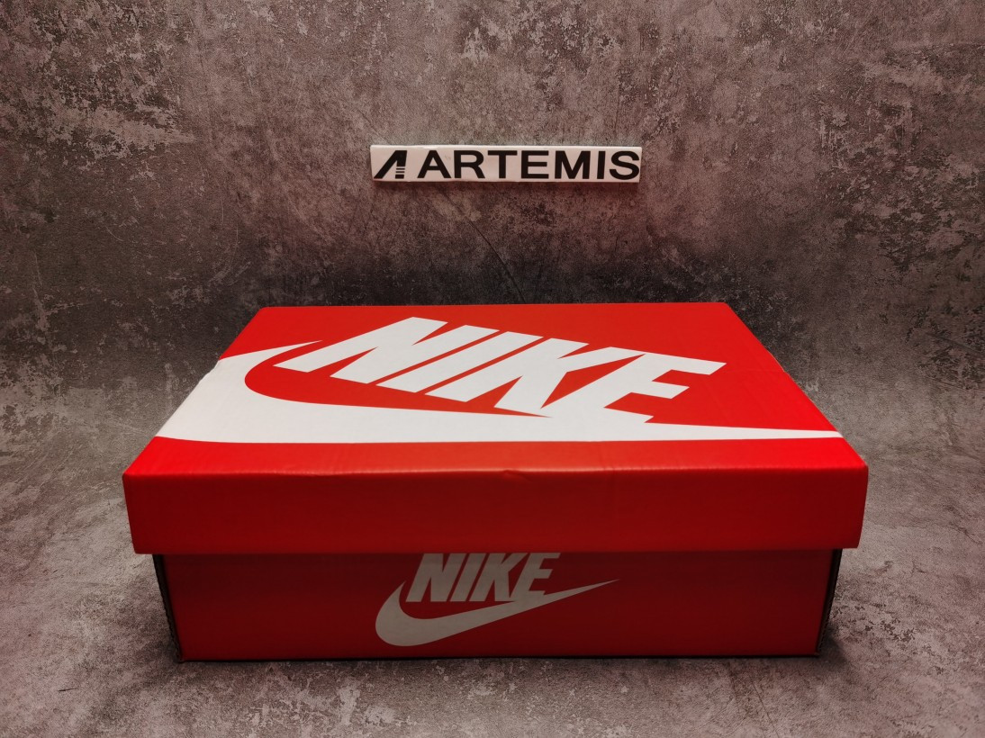 Nike Dunk Low Free 99 White