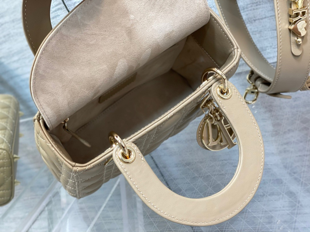 medium lady D*or bag 24 x 20 x 12 cm