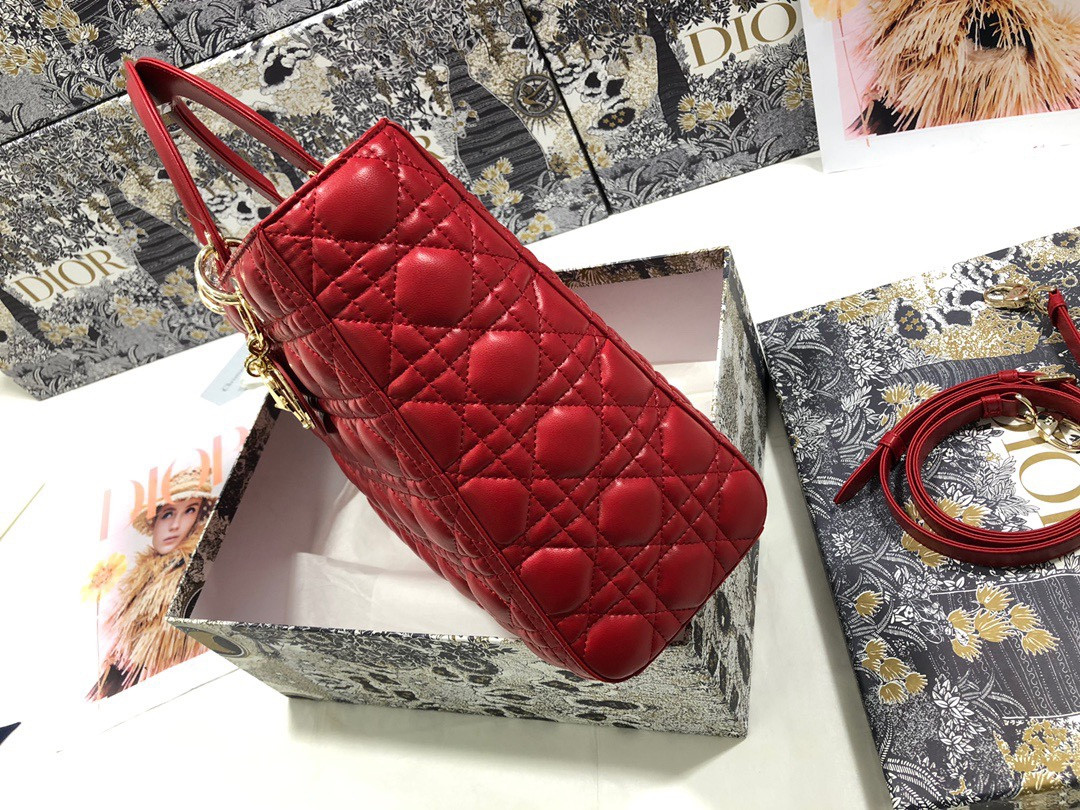 D*0r Lady Bag 32 x 25 x 11cm