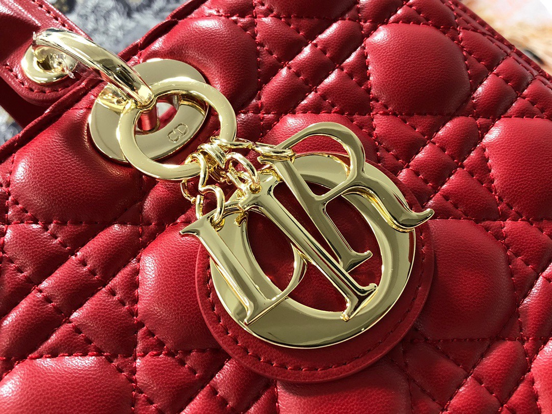 D*0r Lady Bag 32 x 25 x 11cm